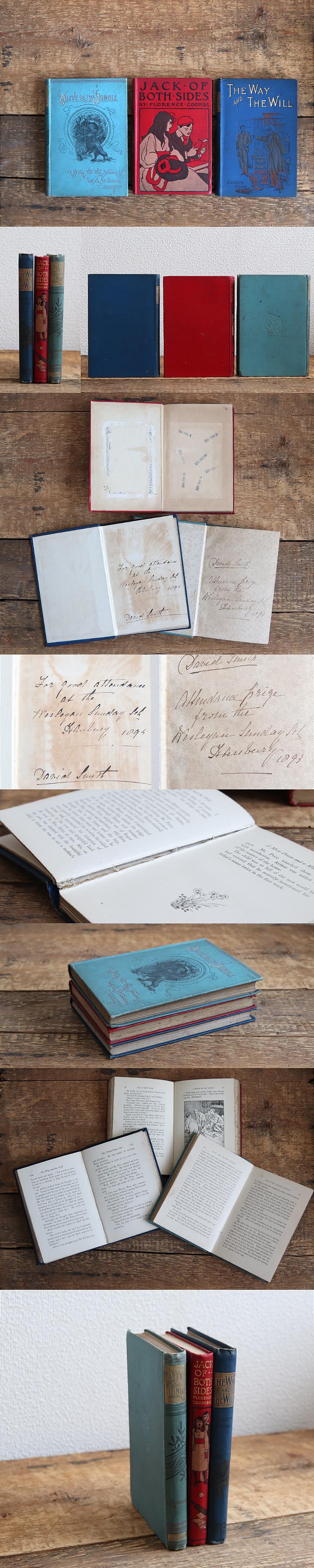 イギリス アンティークブック 3冊セット/古本/古書/洋書/インテリア雑貨/書籍/ディスプレイ/学校【Alive in the Jungle】T-038