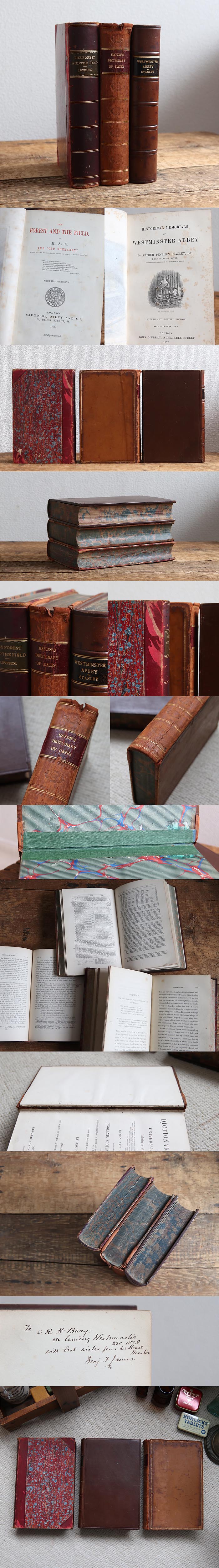 イギリス アンティークブック3冊セット/書籍/インテリア雑貨/ウェストミンスター寺院/レザー【westminster abbey stanley】T-763